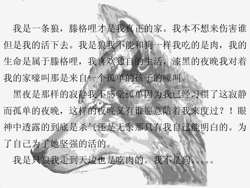 狼性不灭的主播照片