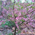 幸福一生v3