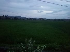 心蔓✿来吹牛哇♫主播照片