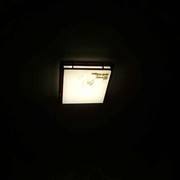 微信_小英莲