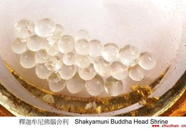 世界公民2020主播照片
