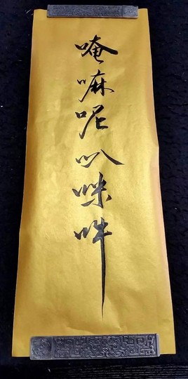 世界公民2020主播照片