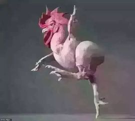 ╭妮丶冷乐观主播照片