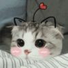 11094888海报