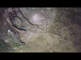 🚩风景🚩主播照片