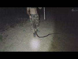 右边的依靠主播照片