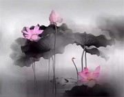 微信_7162430