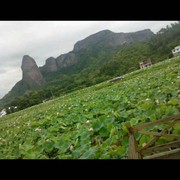 。。白云。。海报