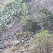 思行空