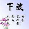 追风人s海报