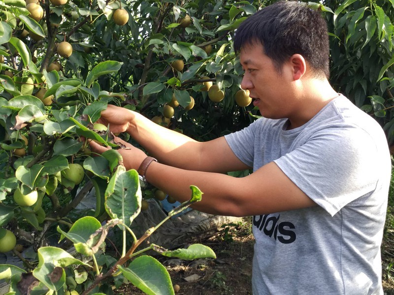 跑调哥农民阿锋的主播海报