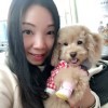 影子c3海报