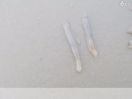 🚩风景🚩主播照片