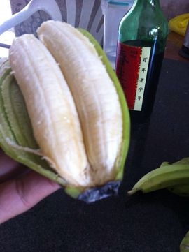 有妖怪蜀黍主播照片
