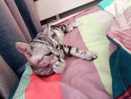 刺刺刺刺儿主播照片