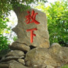 绿叶绿叶绿叶