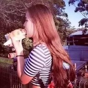 🍀四叶草-燕子