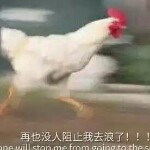 微信_7565479