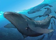 微信_7982869海报