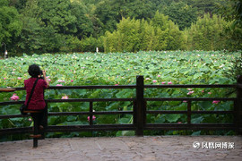 李甲公子主播照片