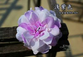 有点美美哒主播照片