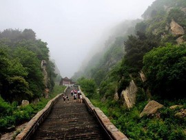 湘南柴子主播照片