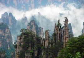 湘南柴子主播照片