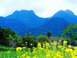 湘南柴子主播照片