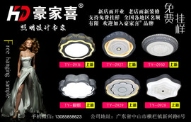 灯饰生产厂家LA主播照片