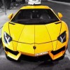 AVENTADORy海报