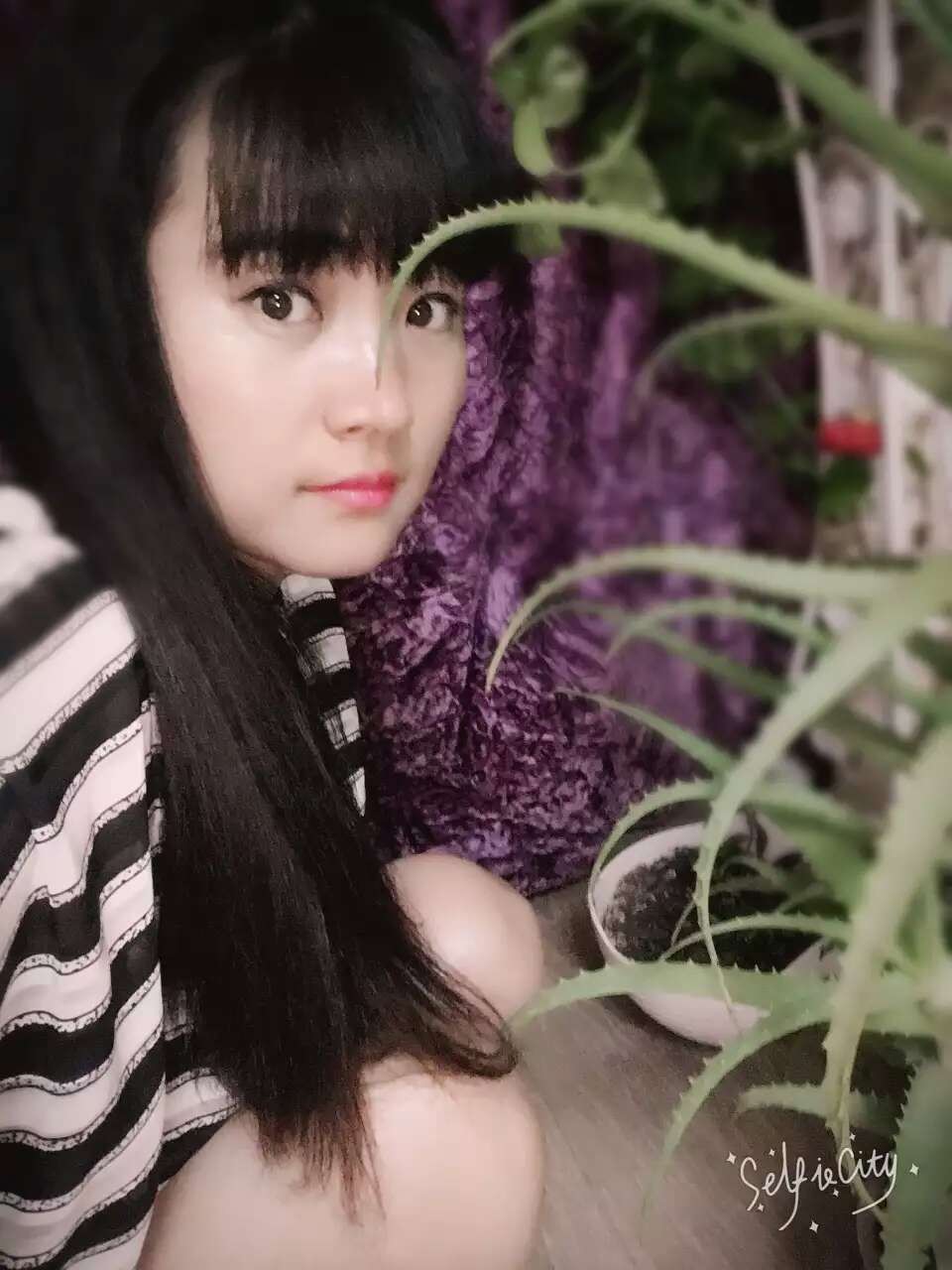 ❤ゞ黄山メ白岳ゞ❤主播照片