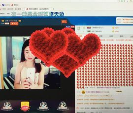 海鸥88主播照片