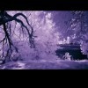 执行力h