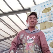 微信_9718546