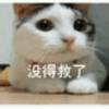 (๑˙❥˙g海报