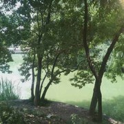 微信_0442080海报