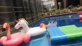習慣有妮主播照片