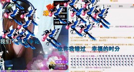 猫、媚娘主播照片