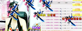 迷路d小鹿主播照片