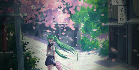 ＋∩＋主播照片