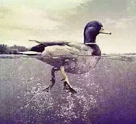 勿忘♡心安、主播照片