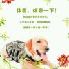 不忘初心cr海报
