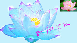 闽❀紫依就此别过主播照片
