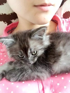 💋收垃圾的小狐狸主播照片