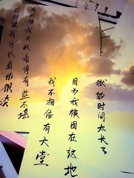 董姨？主播照片