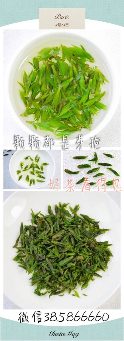 茶晓琳🍃卖茶姑娘的主播照片