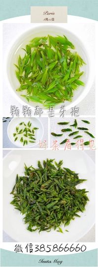 茶晓琳🍃卖茶姑娘主播照片