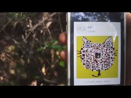 爱花蕾主播照片