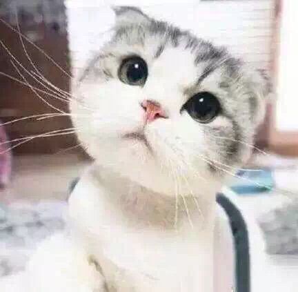 美丹儿^^的主播照片