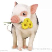 微信_1784934海报